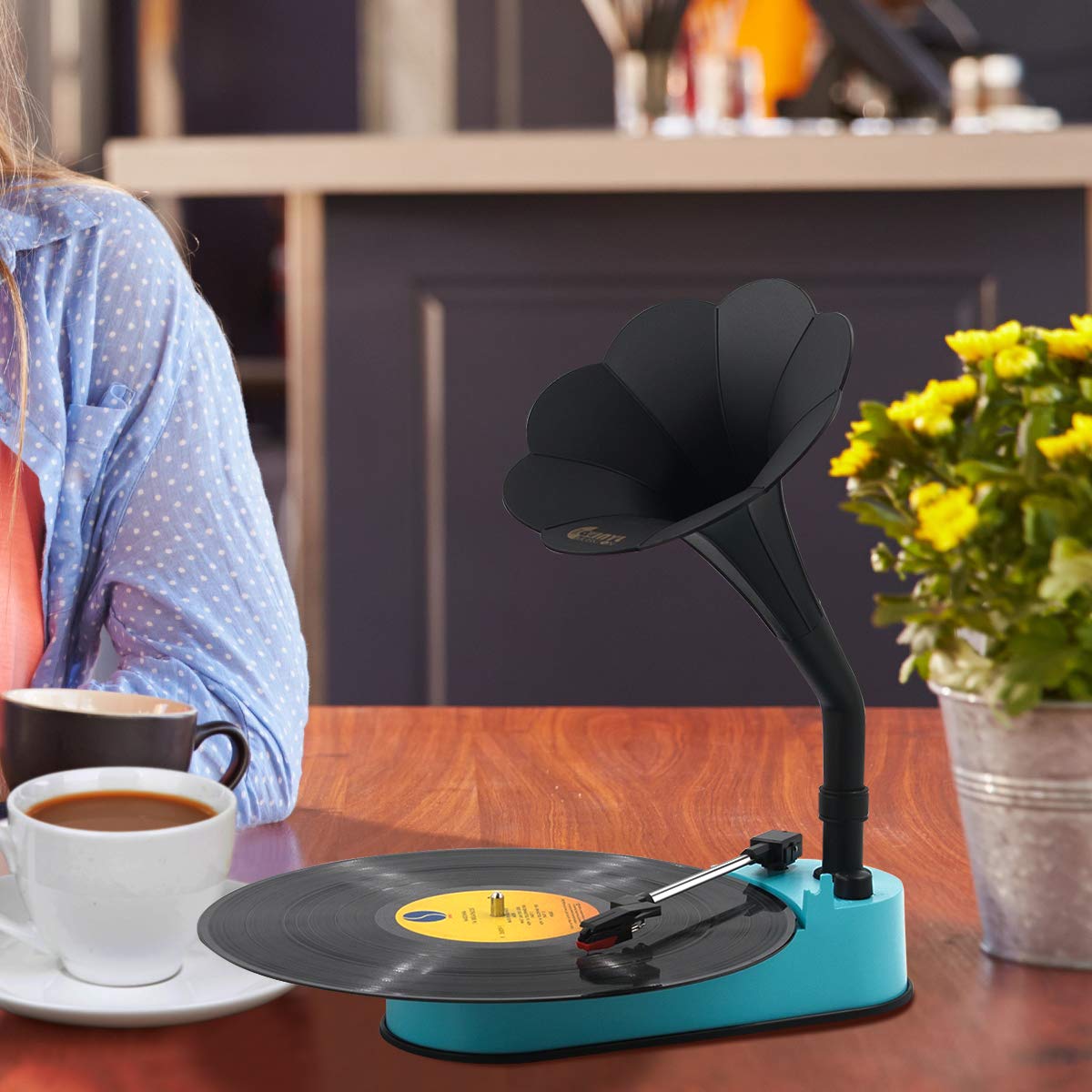 Turntable Record Player with Horn Speaker for 33/45 RPM Records,Mini Gramophone (6973332619447)